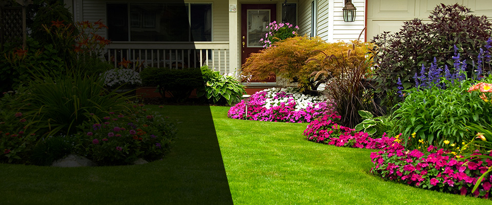 Hallandale Landscapers