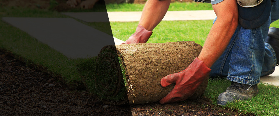 Hallandale Landscapers